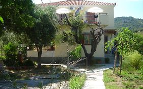 Vassilis Studios